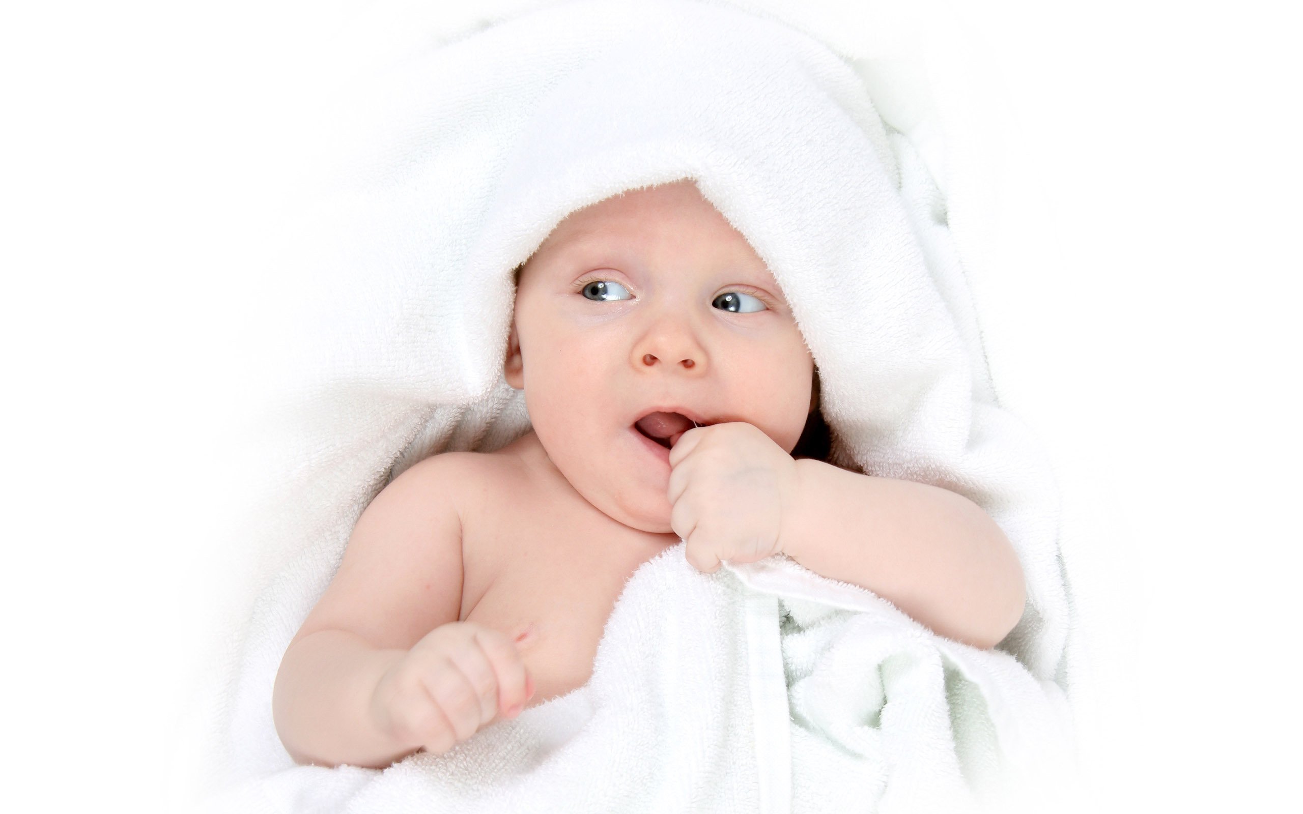 天津捐卵子电话供精试管婴儿成功率是多少